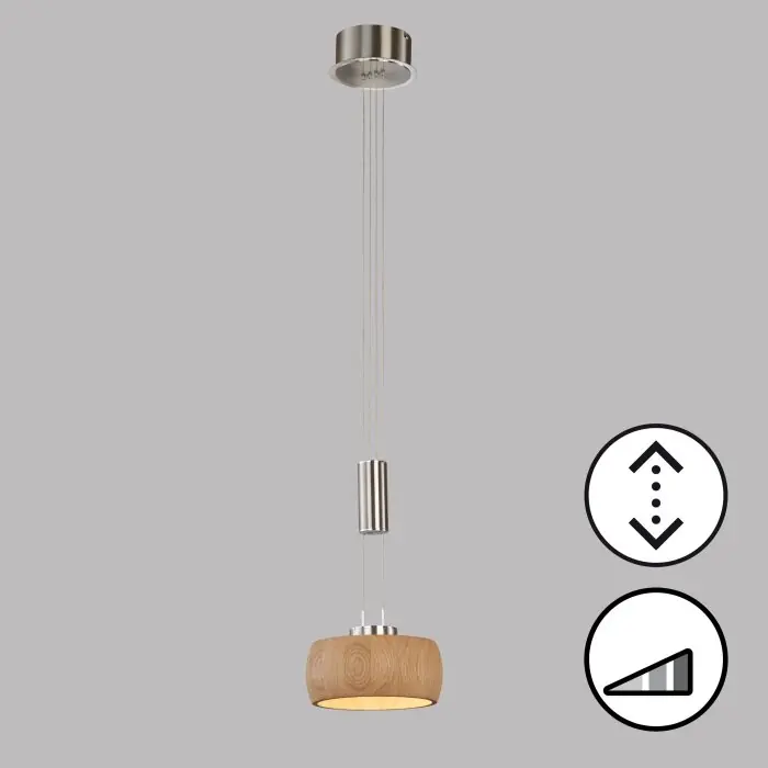 Finale Uitverkoop Fischer & Honsel SHINE-WOOD Hanglamp LED Nikkel mat, 1-licht