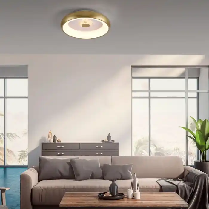 Leuchten-Direkt VERTIGO Plafondlamp LED Goud, 1-licht, Afstandsbediening Koop Online
