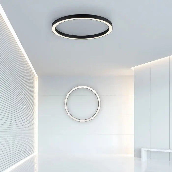 Paul Neuhaus PURE-LINES Plafondlamp LED Antraciet, 1-licht, Afstandsbediening Beste Prijs