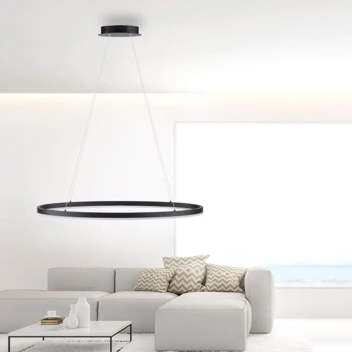 Laatste Kans Paul Neuhaus TITUS Hanglamp LED Antraciet, 1-licht