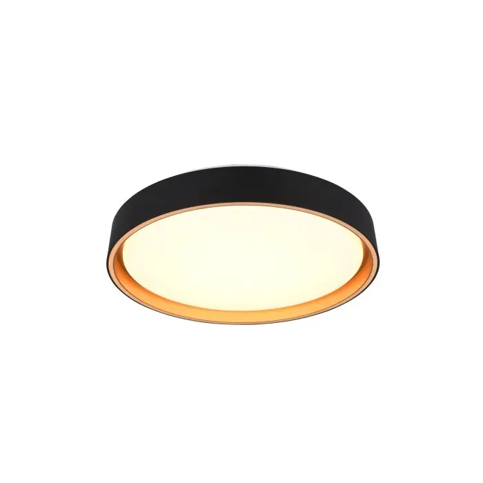 Favoriet Reality FELIS Plafondlamp LED Zwart-Goud, 1-licht, Afstandsbediening