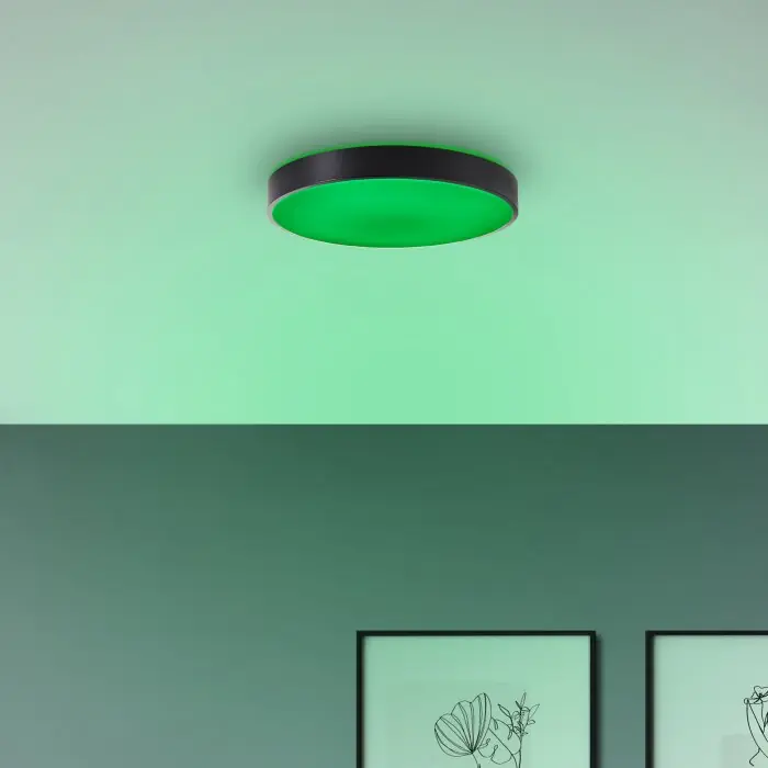 Finale Uitverkoop Briljante lampen Vadin Plafondlamp LED Zwart, 1-licht, Afstandsbediening