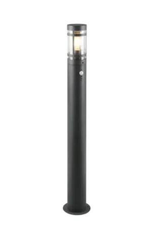 Weekendaanbieding Reality PALOMA Buiten staande lamp Antraciet, 1-licht, Bewegingsmelder