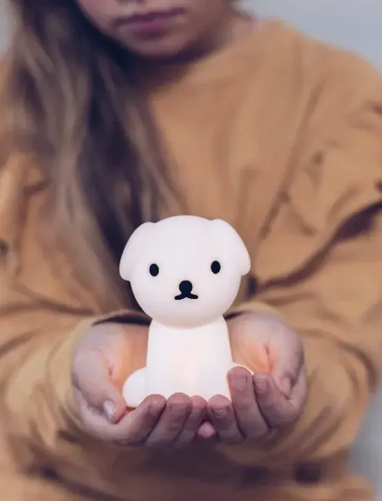 Koop Vandaag Mr Maria Snuffy Bundle of Light kinder batterijlamp