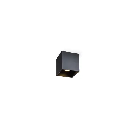 Wever Ducre Box Ceiling 1.0 PAR16 Opbouwspot - Zwart Bestseller