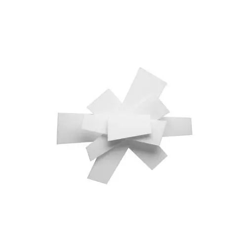 Gereduceerde Prijs Foscarini Big Bang Wandlamp - Wit