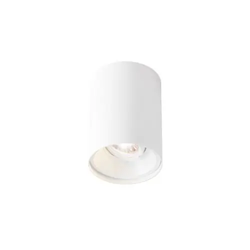 Wever Ducre Solid 1.0 LED Opbouwspot - 1800-2850K - Wit - Dali Fabrieksprijs