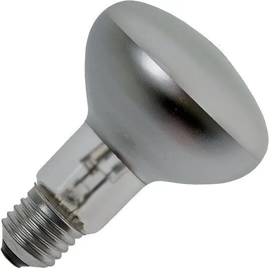 Op = Op Halogeenlamp Grote fitting E27 Mat 80mm 70W