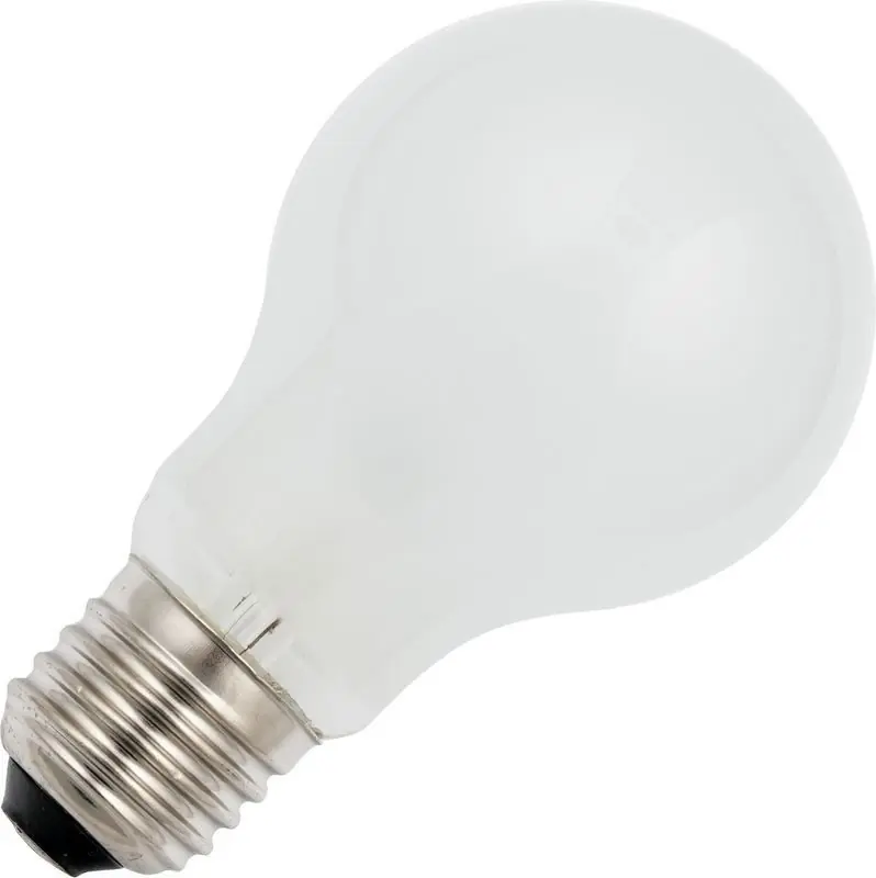 Gloeilamp Grote fitting E27 Standaardlamp Mat 60mm 25W 12V Koop Vandaag