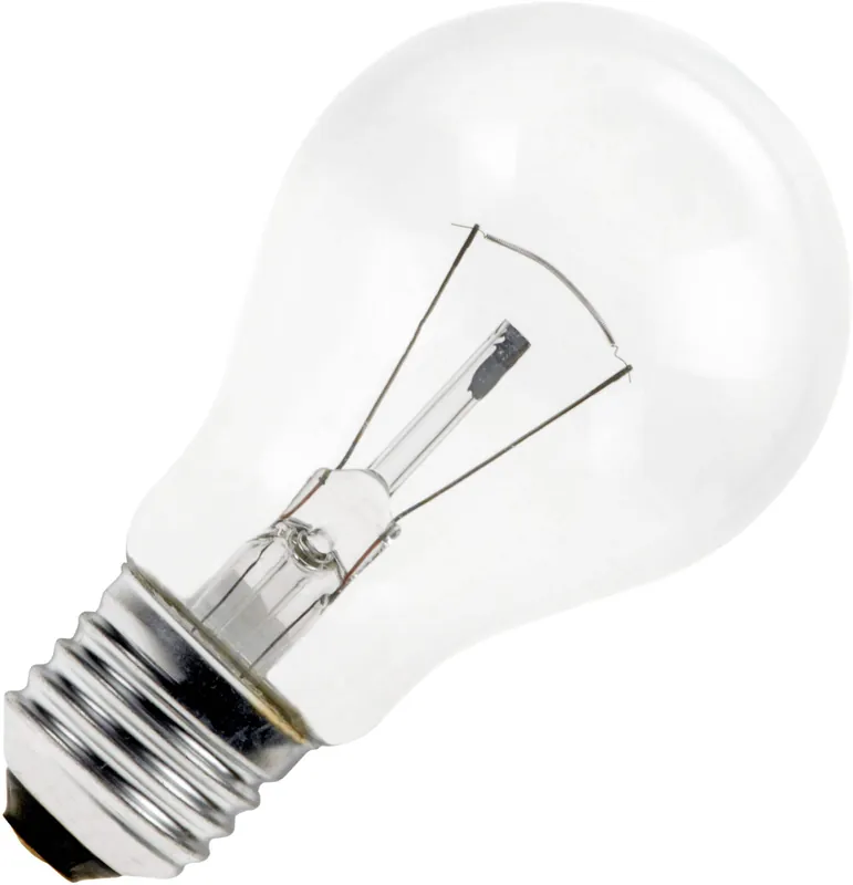 Gloeilamp Grote fitting E27 Standaardlamp Helder 55mm 100W Voordeelprijs
