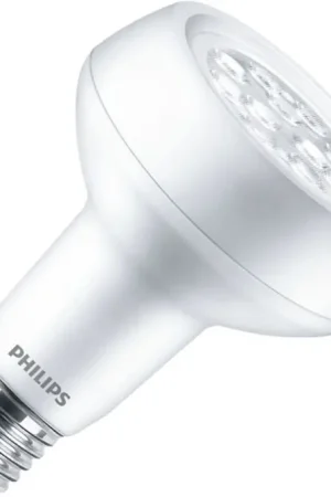 Philips LED lamp Grote fitting E27 Reflectorlamp Mat 80mm 7W Merkproduct
