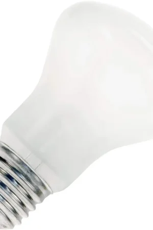 Actieprijs Gloeilamp Grote fitting E27 Superluxlamp 100W