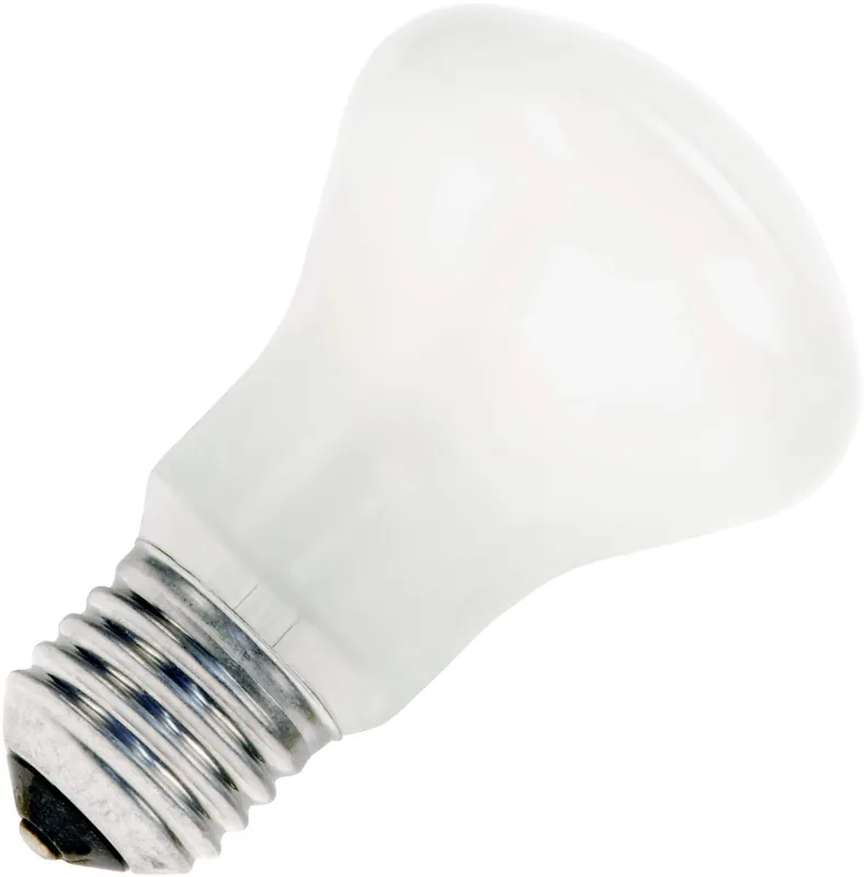 Actieprijs Gloeilamp Grote fitting E27 Superluxlamp 100W