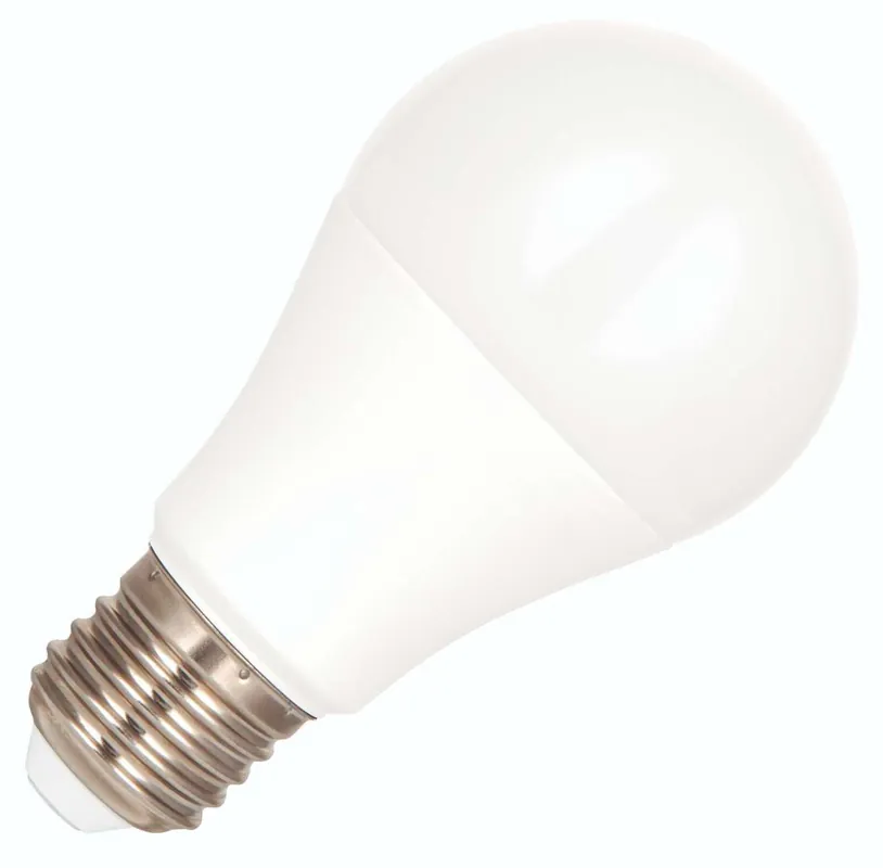 Bailey LED lamp Grote fitting E27 Standaardlamp 60mm 15W Beperkt Aanbod