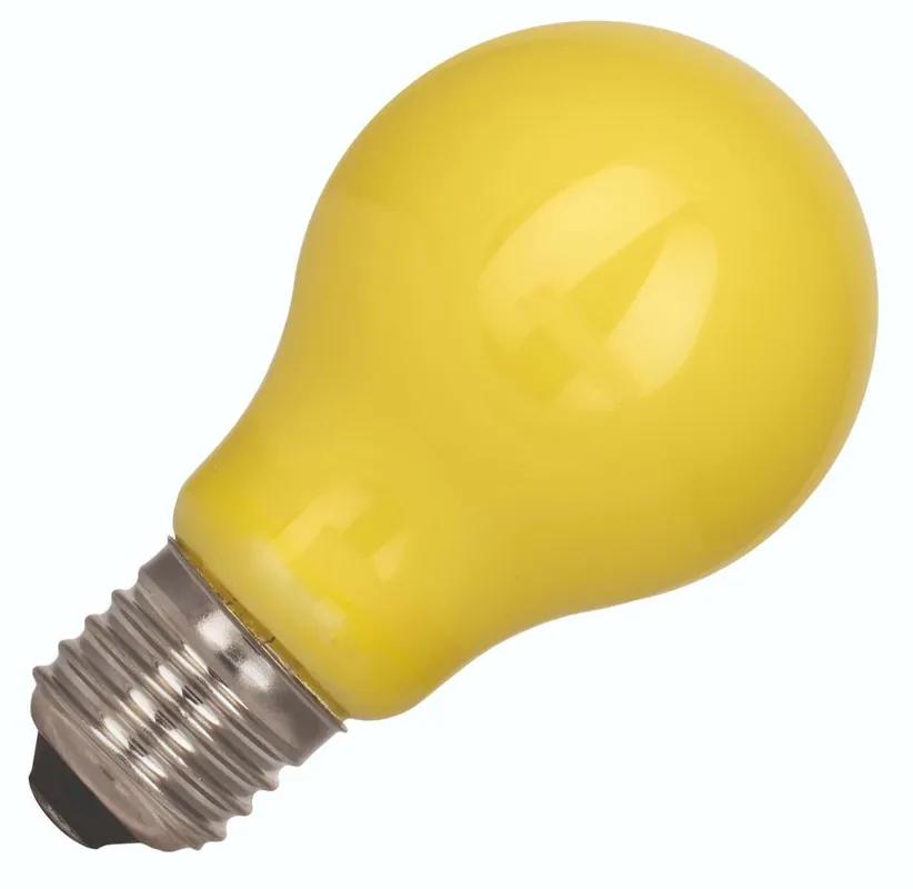 Bailey LED Lamp Grote fitting E27 5W Goedkoop