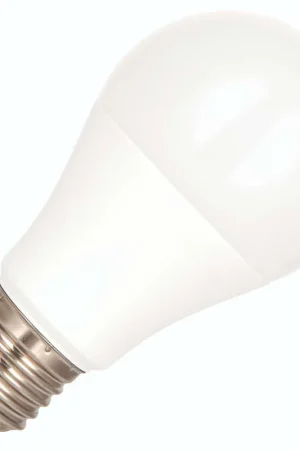 Weekendaanbieding Bailey LED lamp Grote fitting E27 Standaardlamp 60mm 10W