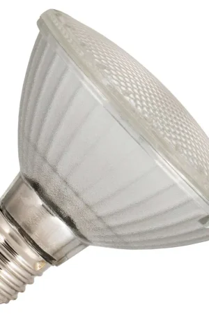 Aanbieding Bailey LED lamp Grote fitting E27 Reflectorlamp 97mm 10W
