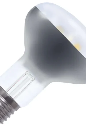 Weekendaanbieding Bailey LED Reflectorlamp Grote fitting E27 6W Dimbaar