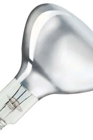 Bestel Nu PHILIPS IR-lamp R-bollamp/reflectorlamp Grote fitting E27 375W