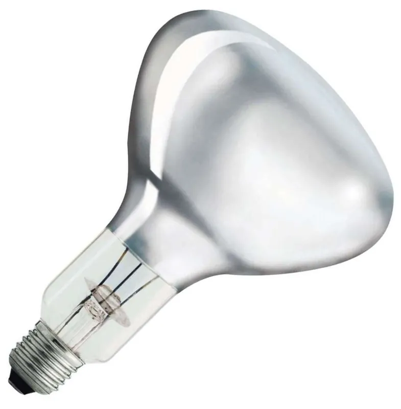 Bestel Nu PHILIPS IR-lamp R-bollamp/reflectorlamp Grote fitting E27 375W