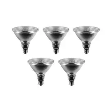 5x Gloeilamp Spot Grote fitting E27 120W 122mm Mat Merkproduct