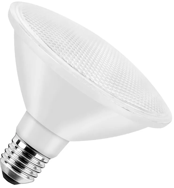 Populair Bailey LED lamp Grote fitting E27 Spot 95mm 13W
