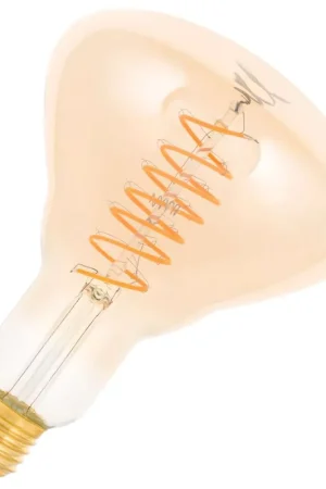 Aanbieding Bailey LED Spot Grote fitting E27 5W Dimbaar