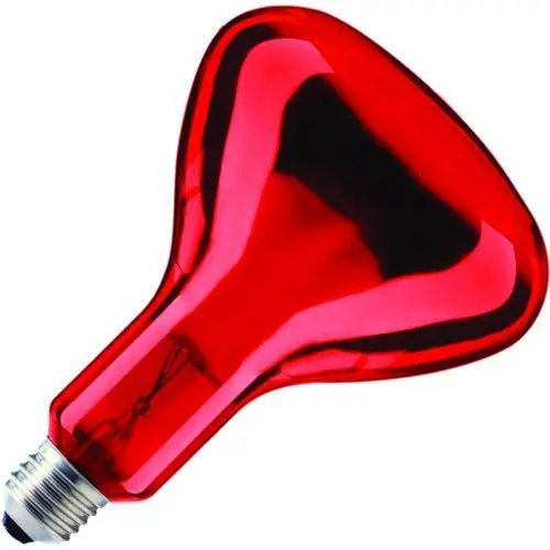 SPL IR-lamp R-bollamp/reflectorlamp Grote fitting E27 100W Snelle Levering