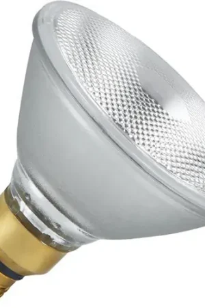 Weekendaanbieding SPL Halogeen PAR30 E27 Fitting 100W 230V Helder Spot 10°