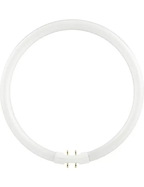Alleen Vandaag SPL FL Circline T5 2Gx13 Fitting 55W 3000K